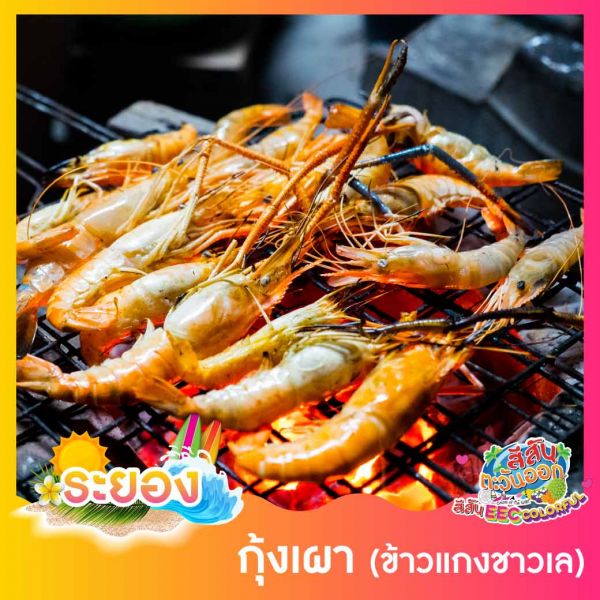 กุ้งเผา