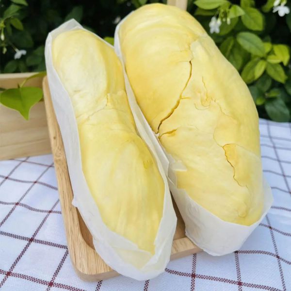 ทุเรียนหมอนทอง