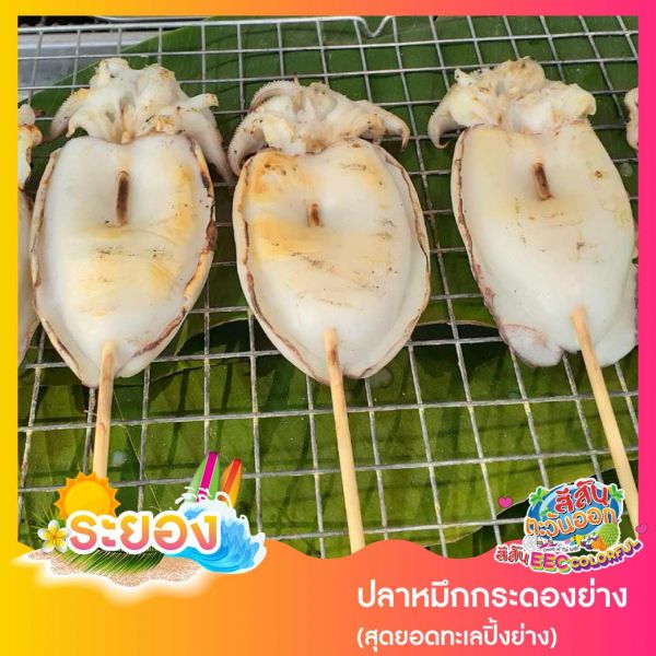 ปลาหมึกกระดองย่าง