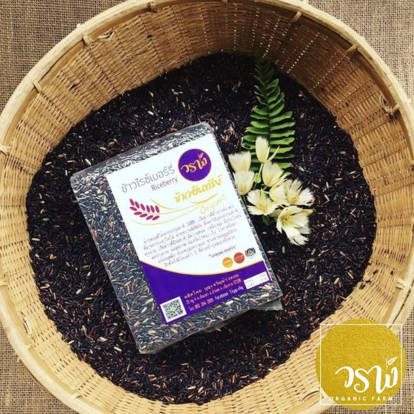ข้าวอินทรีย์ไรซ์เบอร์รี่