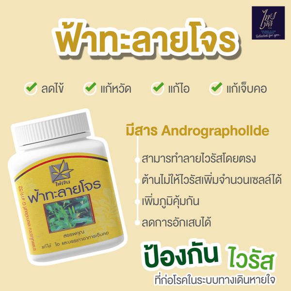 ฟ้าทะลายโจร