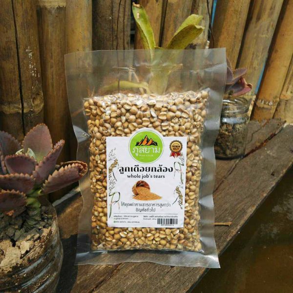 ลูกเดือยกล้อง