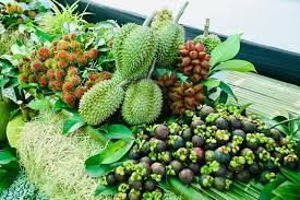 สวนทัศกร ระยอง ผลไม้ตามฤดูกาล