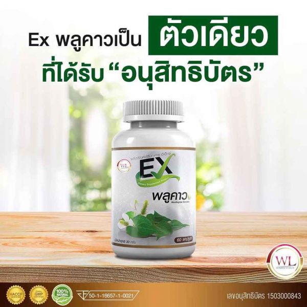 EX พลูคาว